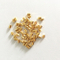 //jororwxhoilrmp5p.ldycdn.com/cloud/qkBpiKrpRmiSmrjlpplnk/Gold-metal-Au-Slug-60-60.jpg